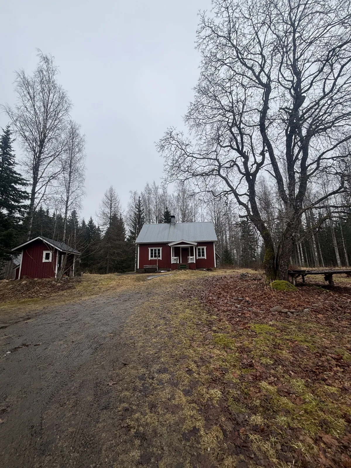 Sinijärventie