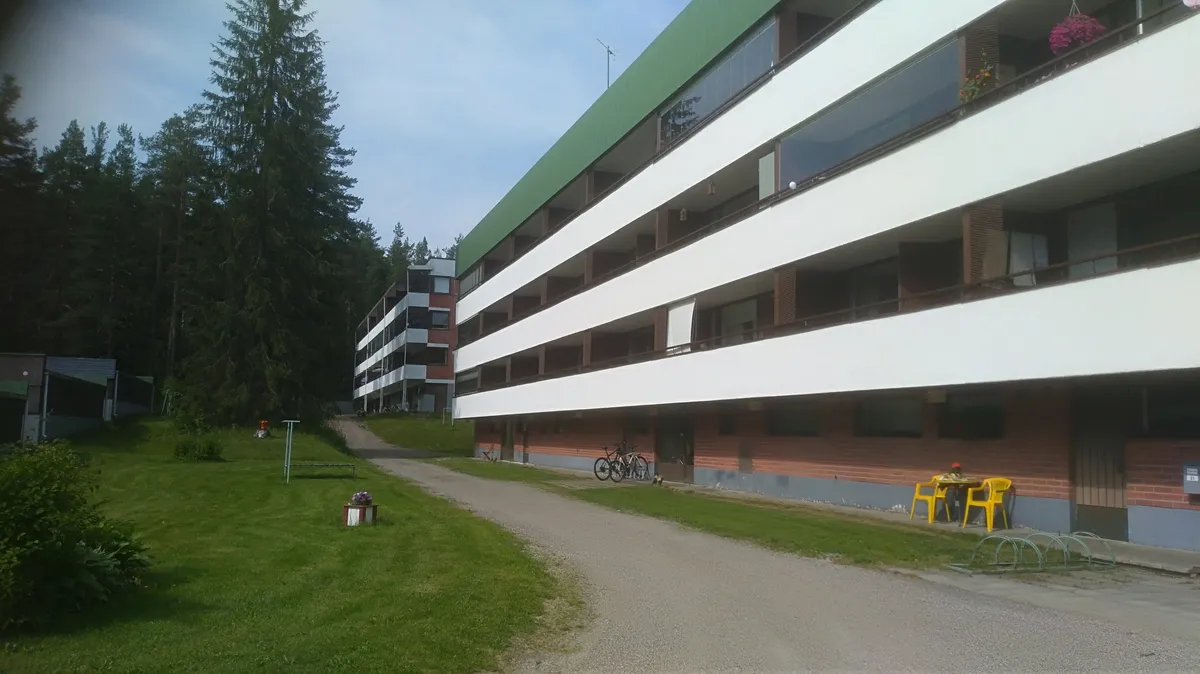 Kutsetintie