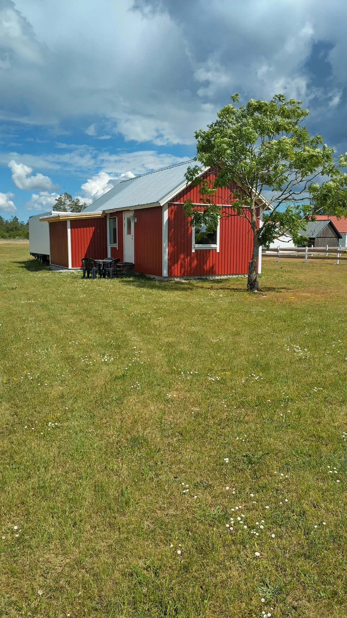 Fole stora hellvis