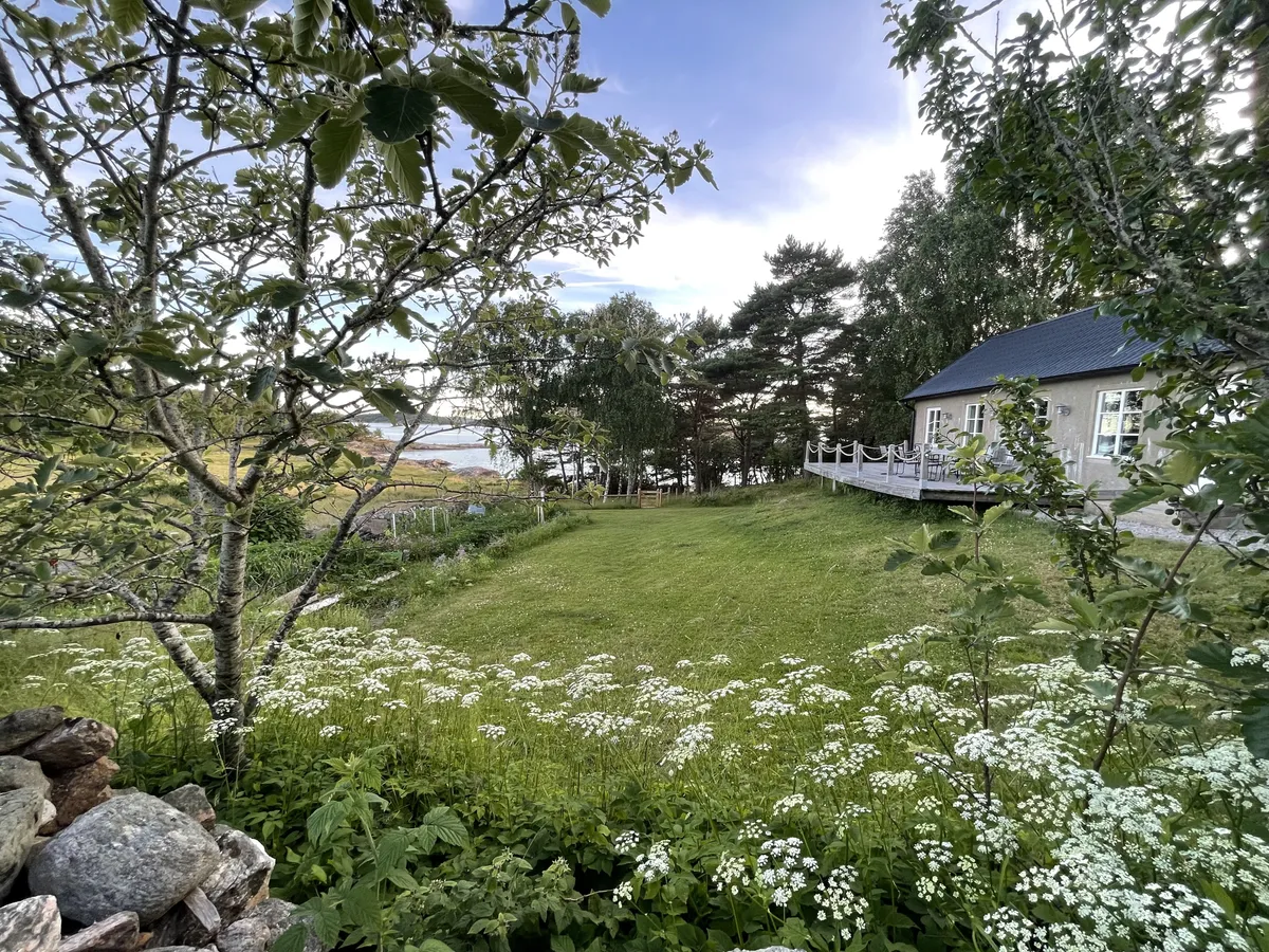 Rossö