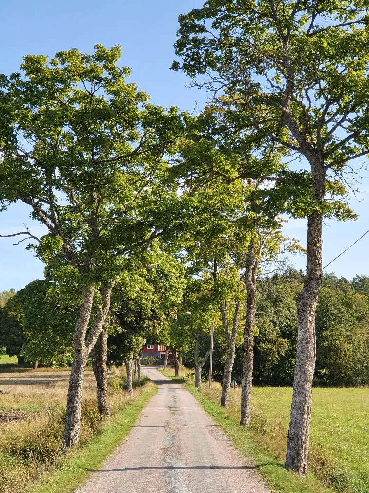 Svärta Prästbol Hovby