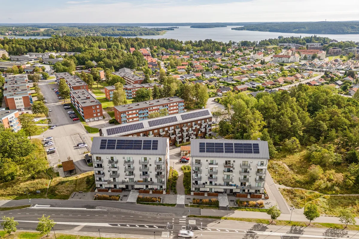 Björkvägen