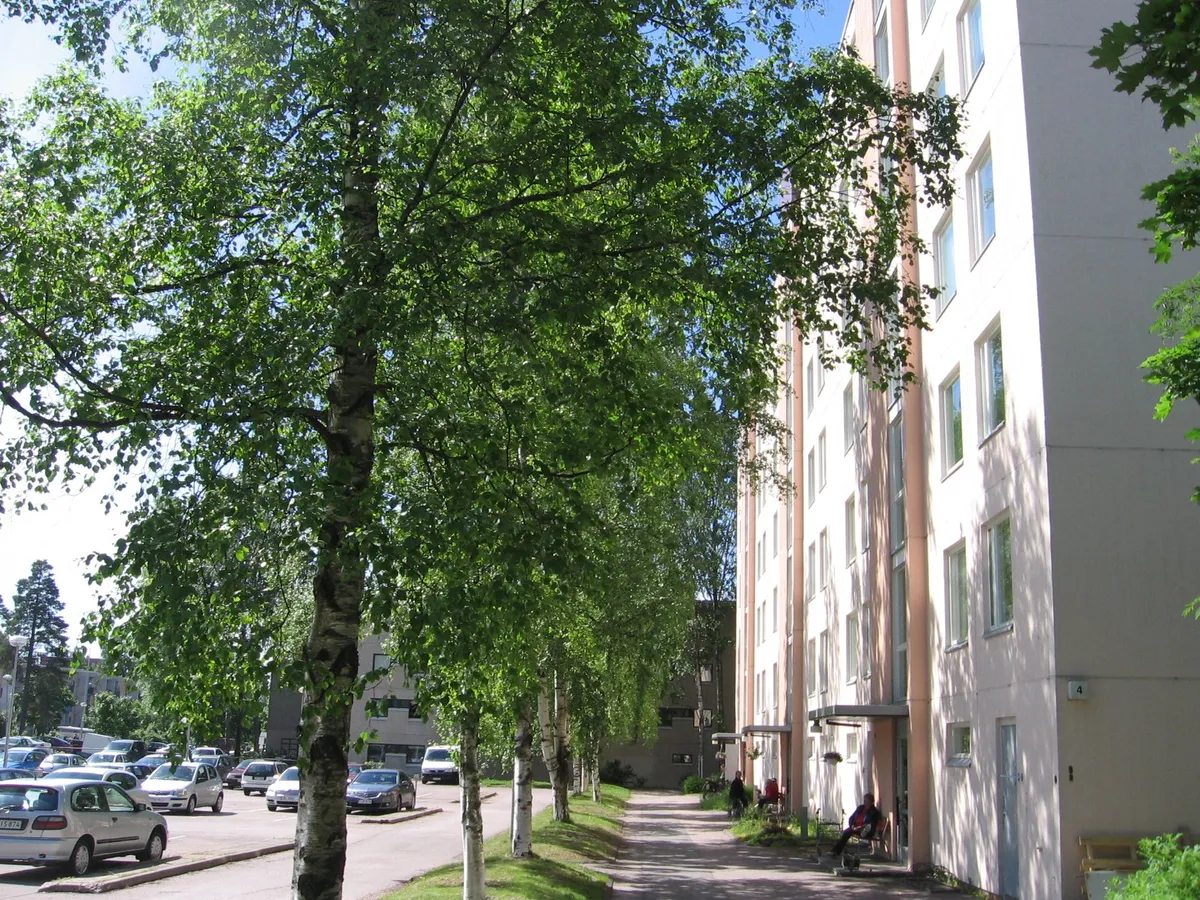 Taivaskero