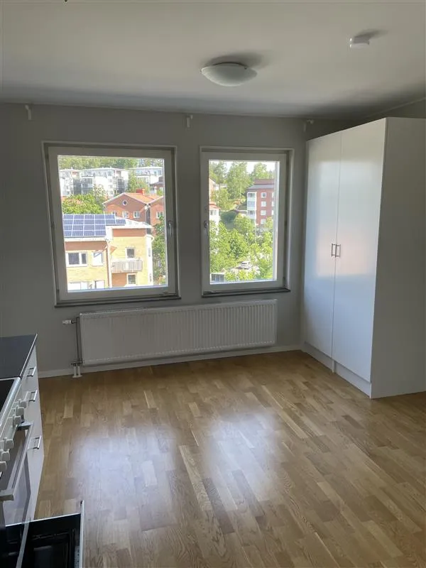 Dånviksvägen