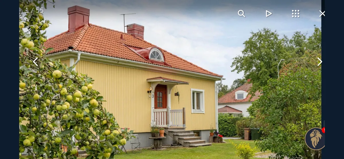 Vittvångsvägen