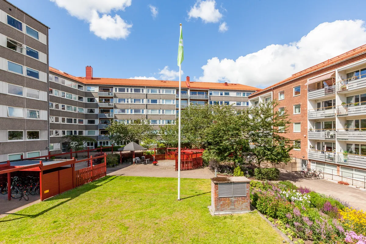 Backhausgatan