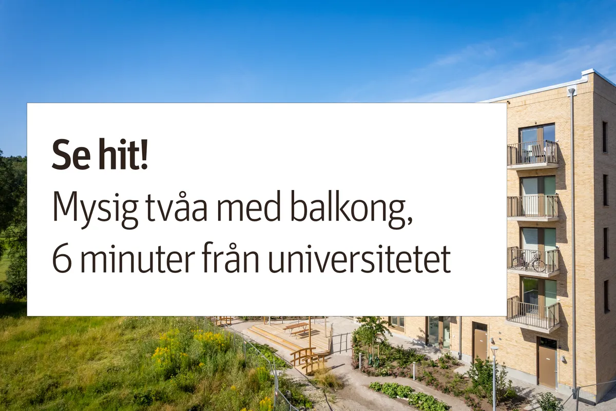 Tamarindvägen