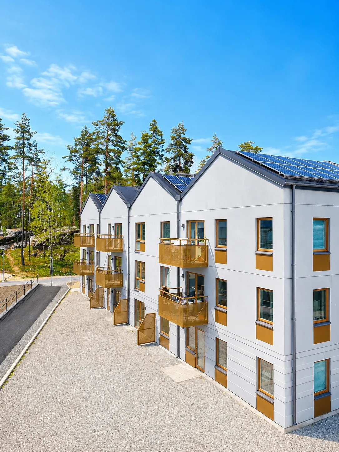 Taggsvampsvägen