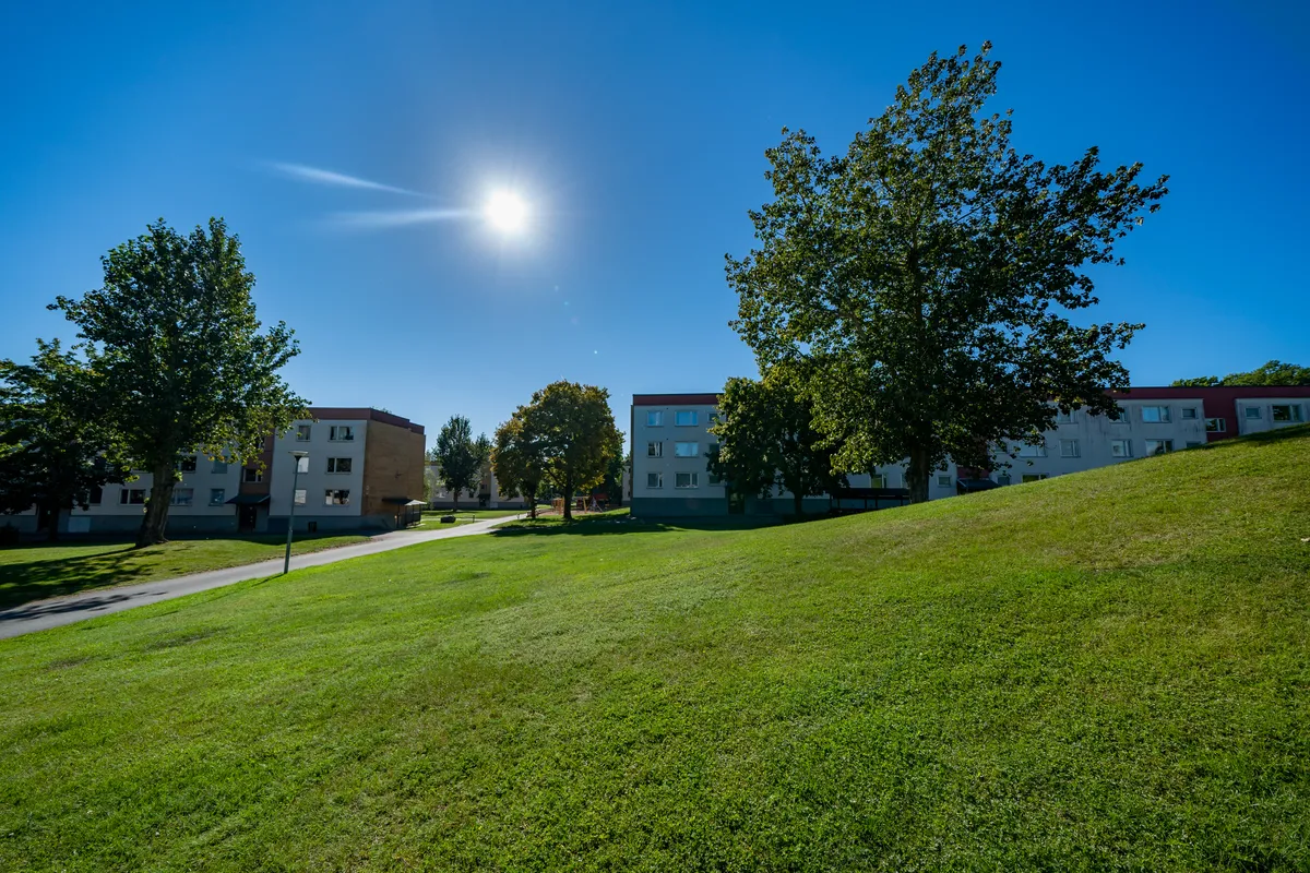 Agneshögsgatan