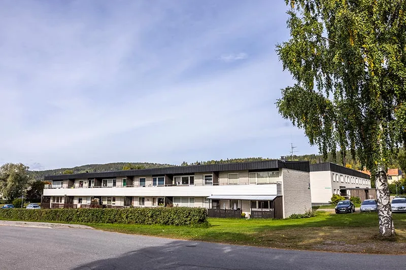 Björkallen