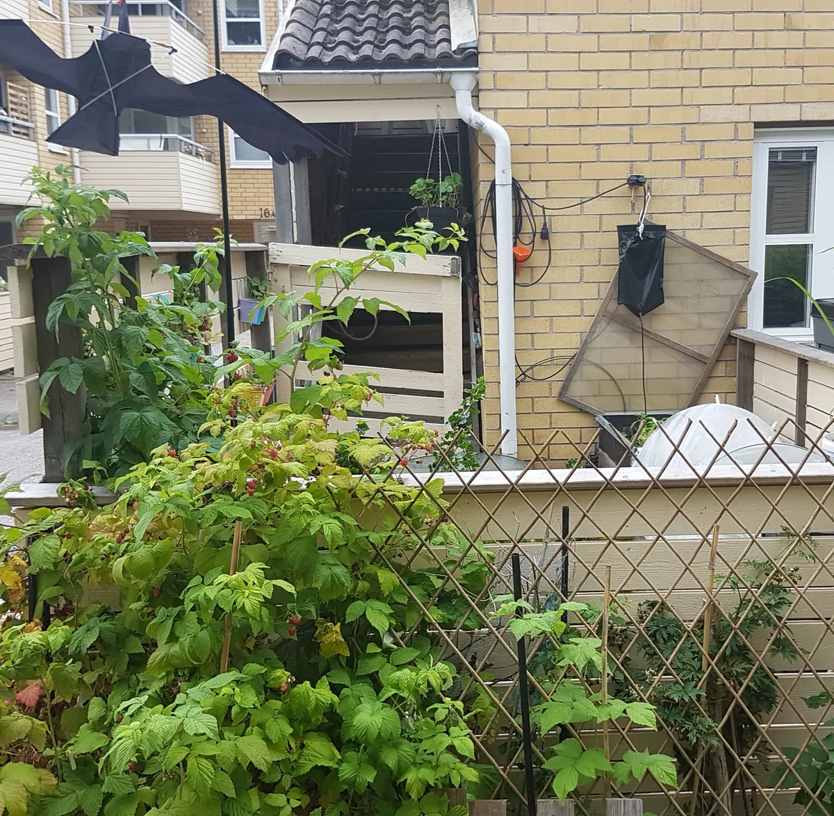 Trefaldighetsvägen