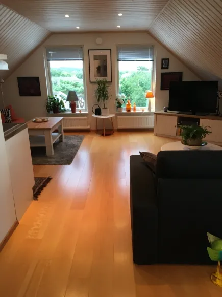 Frillesås backväg