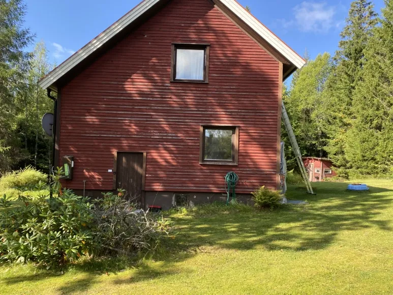 Svanskogen
