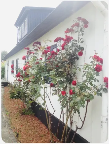 Lilla Beddinge kyrkväg