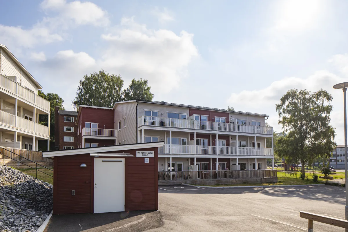 Trädgårdsgatan