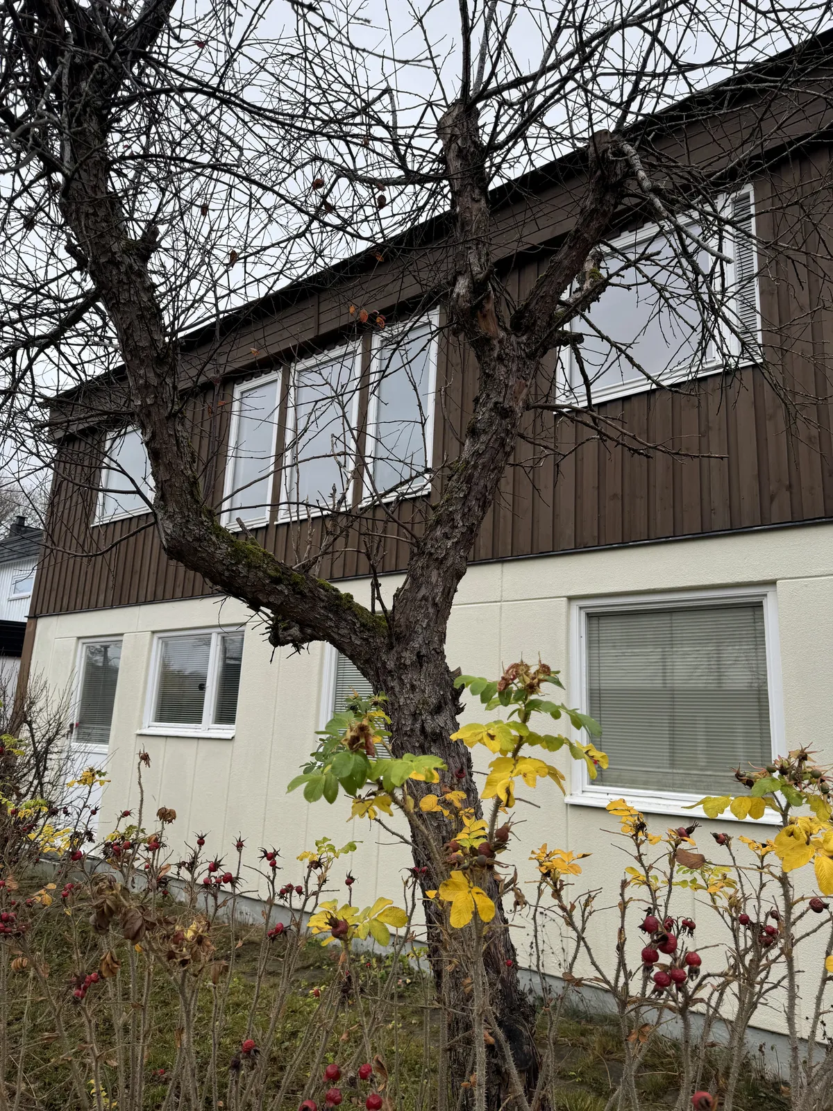 Ålgrytevägen